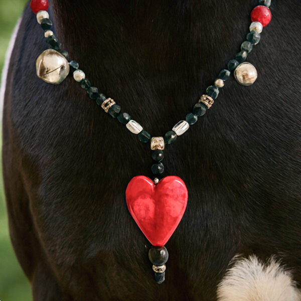 HEART HORSE